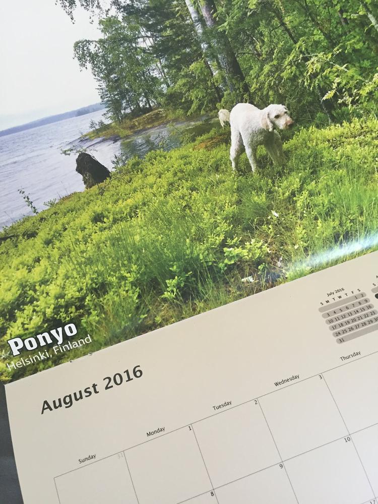 Pooping Dogs Calendar 2016