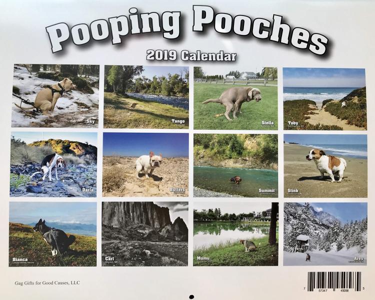 Pooping Dogs Calendar 2019