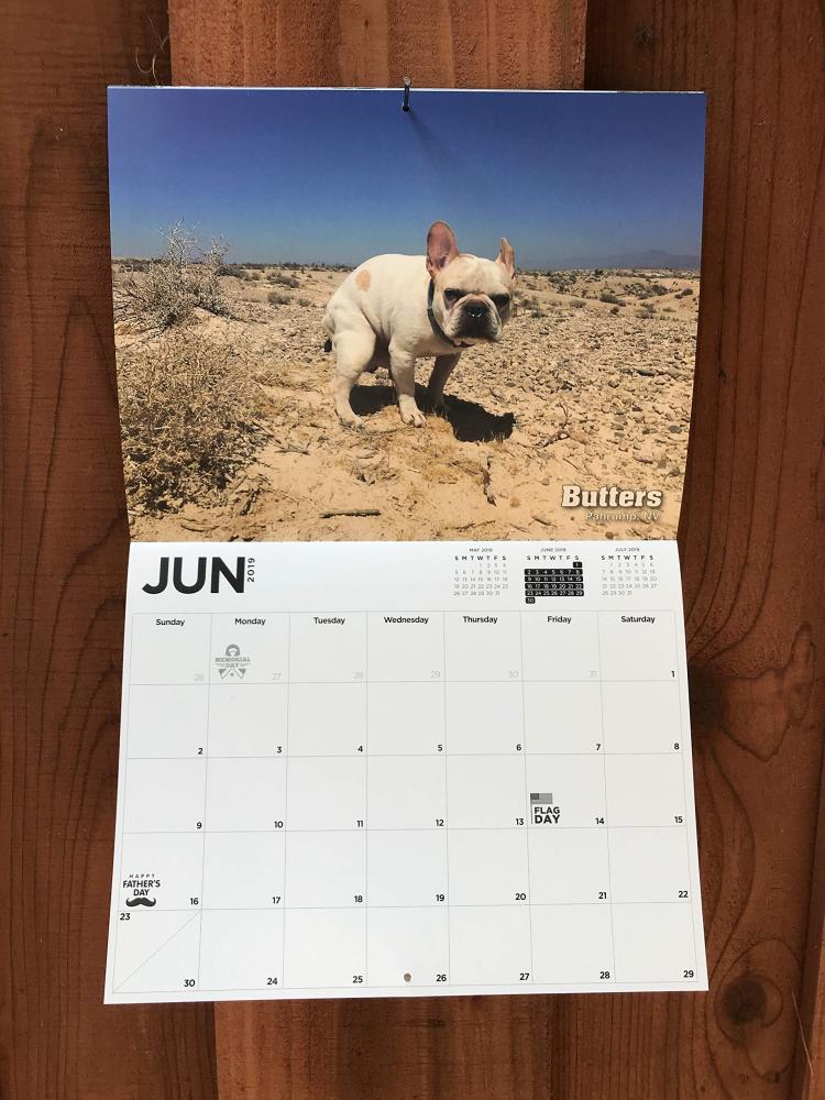 Pooping Dogs Calendar 2019