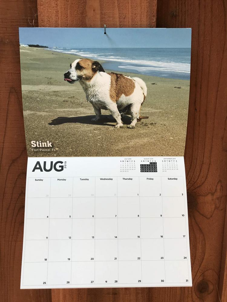 Pooping dog 2025 calendar 2019