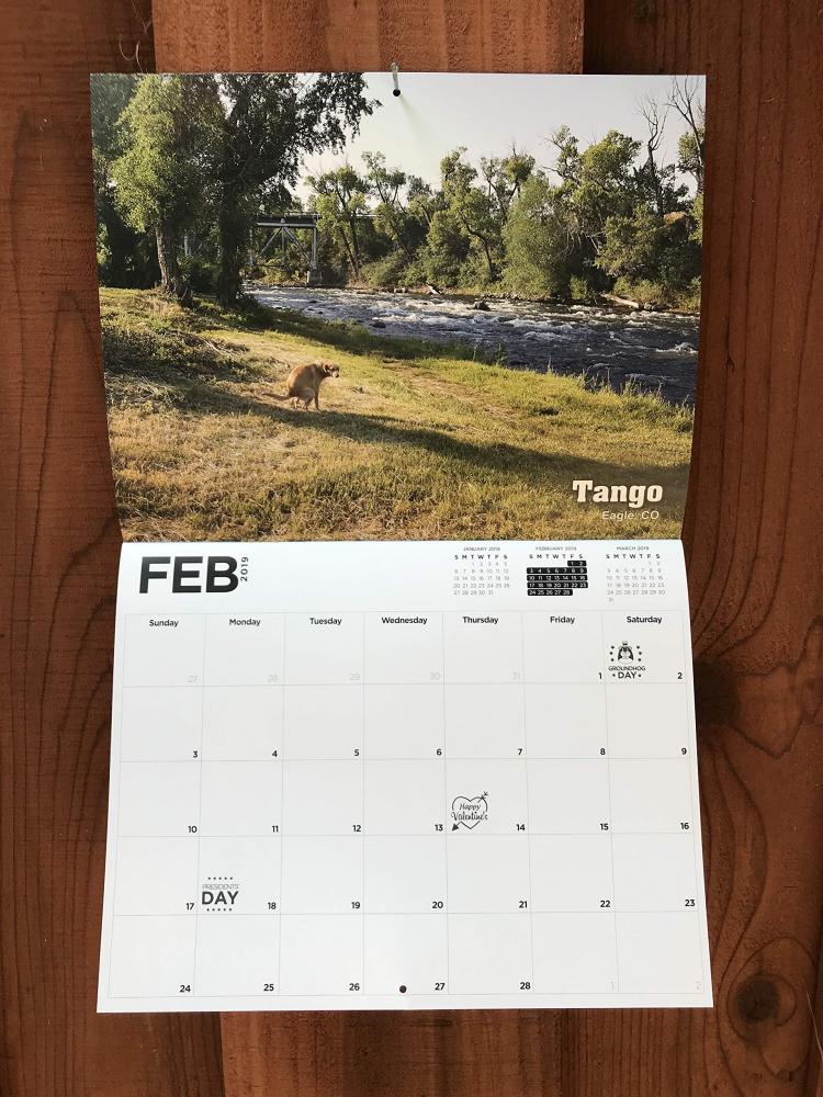 Pooping dog calendar store 2019