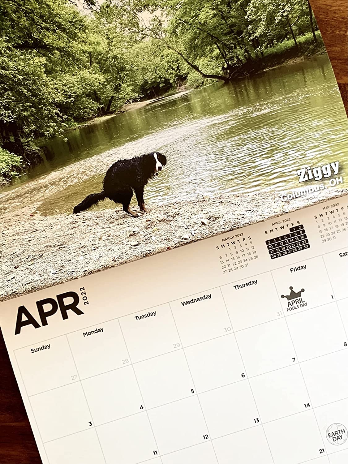 Pooping Dogs Calendar 2022