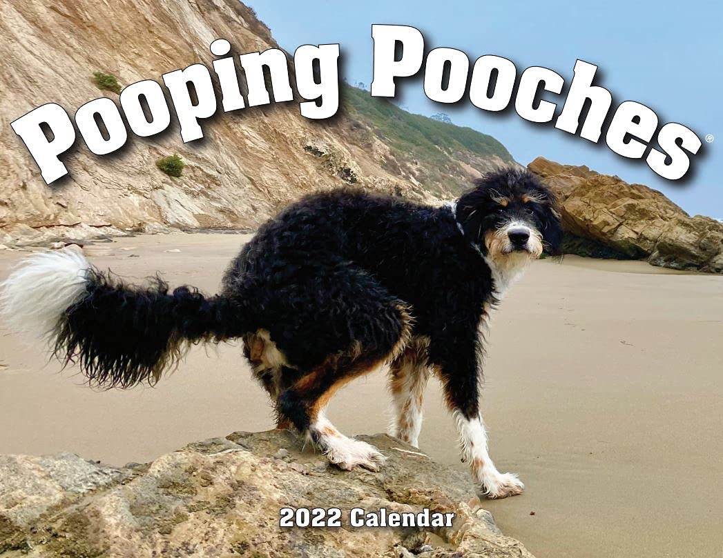 Pooping Dogs Calendar 2022