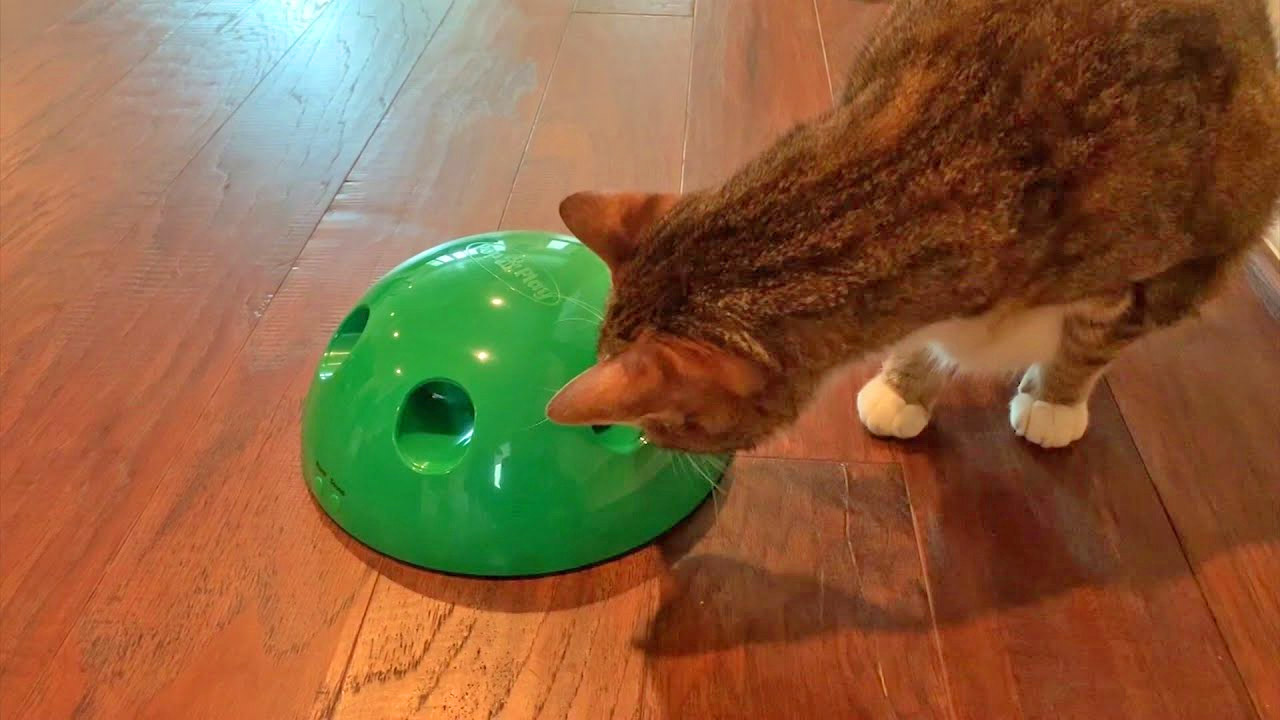 Pop N' Play Cat Teaser - Automatic rotating cat toy dome
