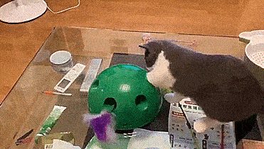 Pop N' Play Cat Teaser - Automatic rotating cat toy dome