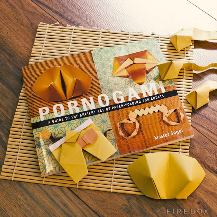 Pornogami: A Dirty Origami Instruction Book