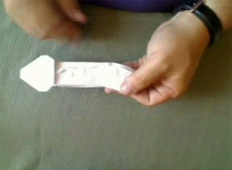 Pornogami: A Dirty Origami Instruction Book