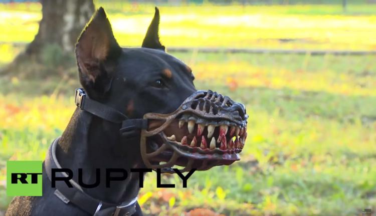 scary dog muzzle for sale