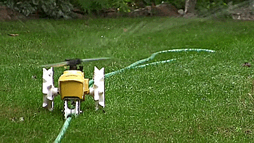 Raintrain Traveling Sprinkler - Robotic sprinkler crawls across lawn
