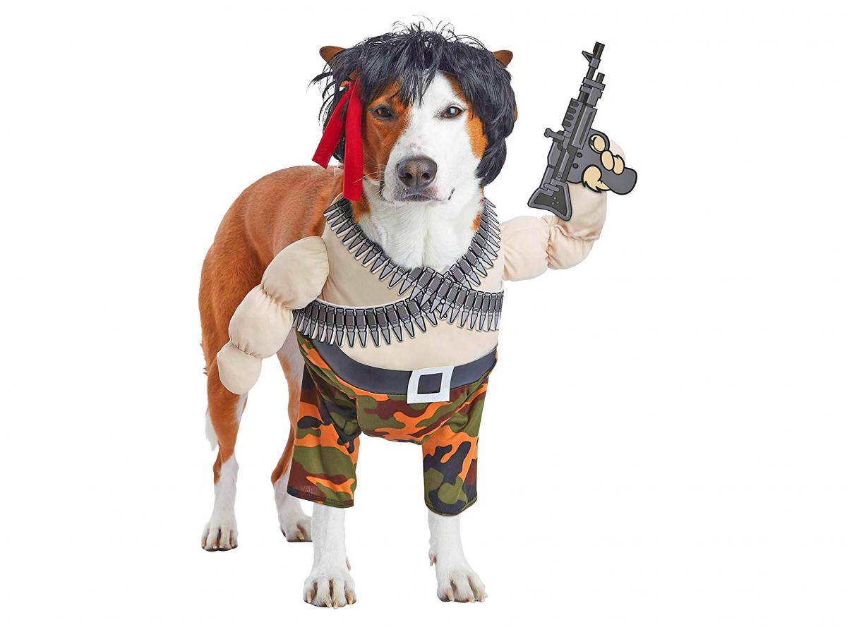 Rambo Dog Costume - French Bulldog Rambo Halloween Costume