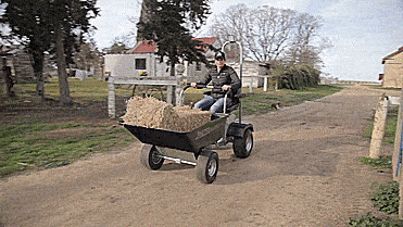 rat-barrow-ride-on-wheelbarrow-5928.gif