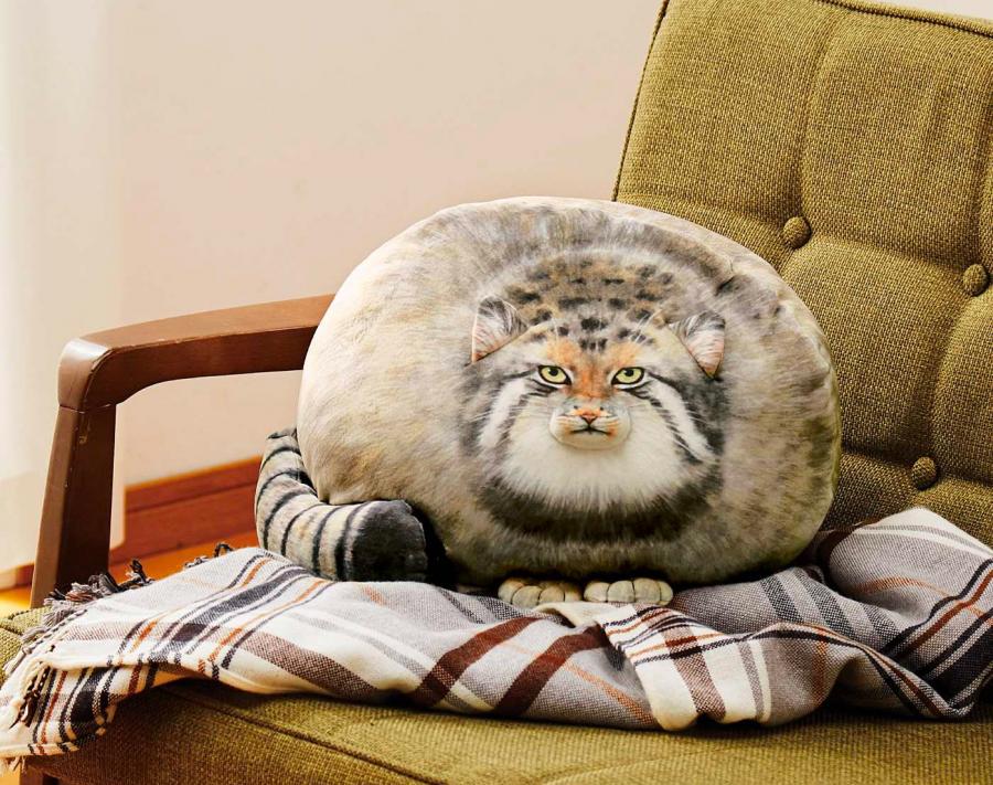 Realistic Chunky Cat Pillow Cushion
