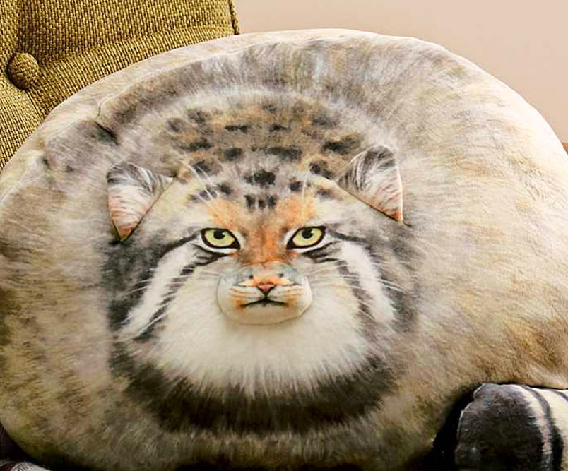 Realistic cat hot sale pillow