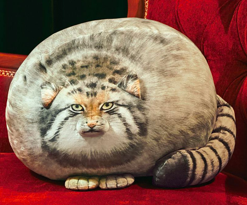 This Realistic Chunky Cat Pillow Is Something Every Cat Lover