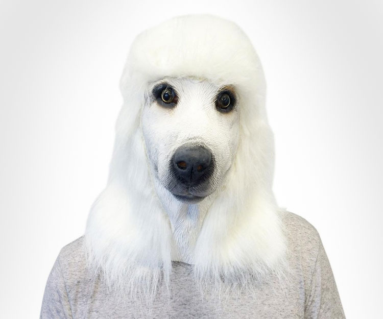 Realistic Dog Masks