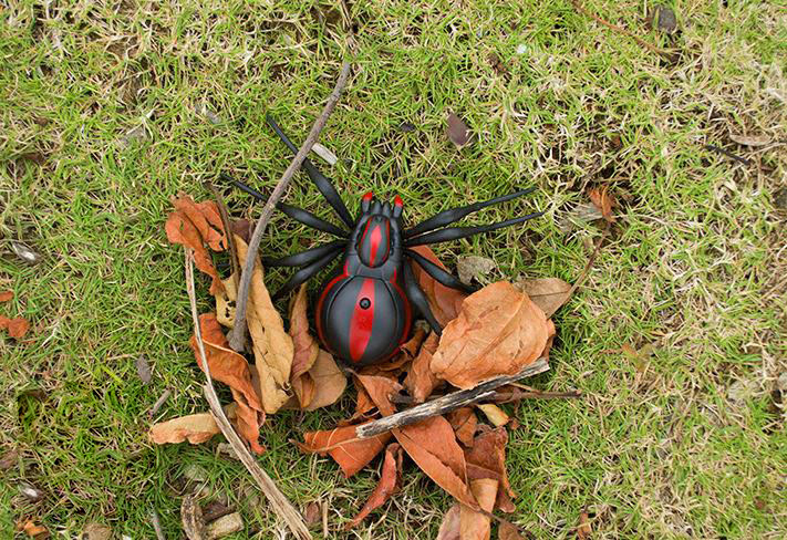 Remote Control Cockroach - Prank Cockroach Robot ToyRemote Control Spider - Giant Prank Spider Robot Toy