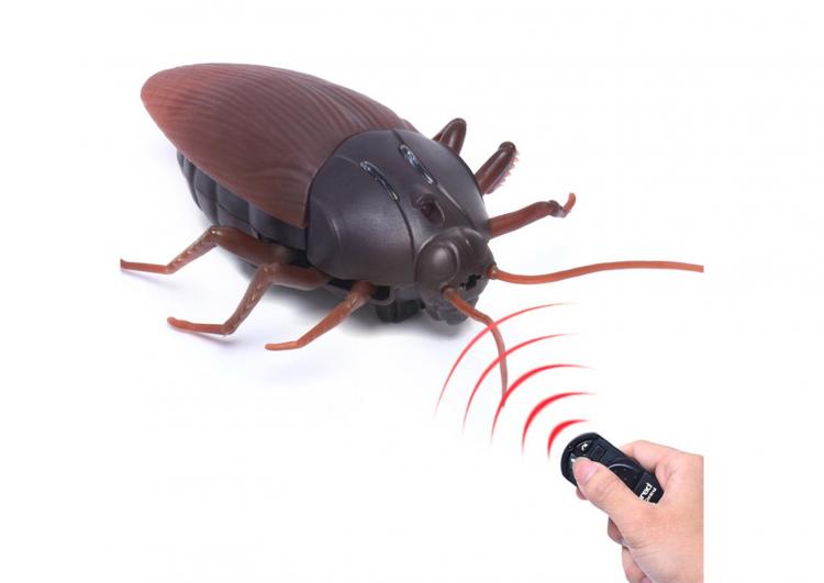 Remote Control Cockroach - Prank Cockroach Robot Toy