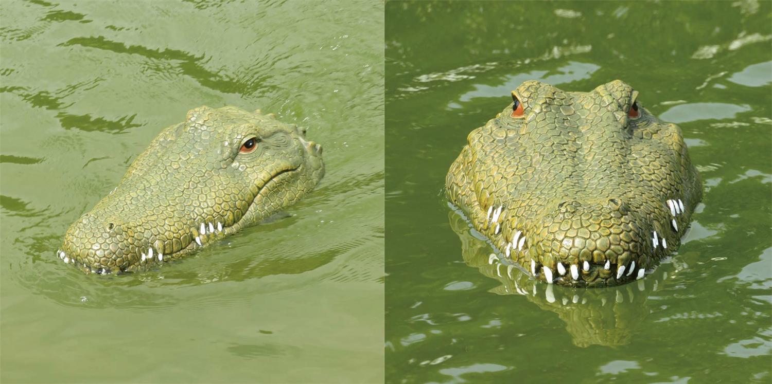 Remote Control Crocodile Head - RC Alligator Head Prank Toy