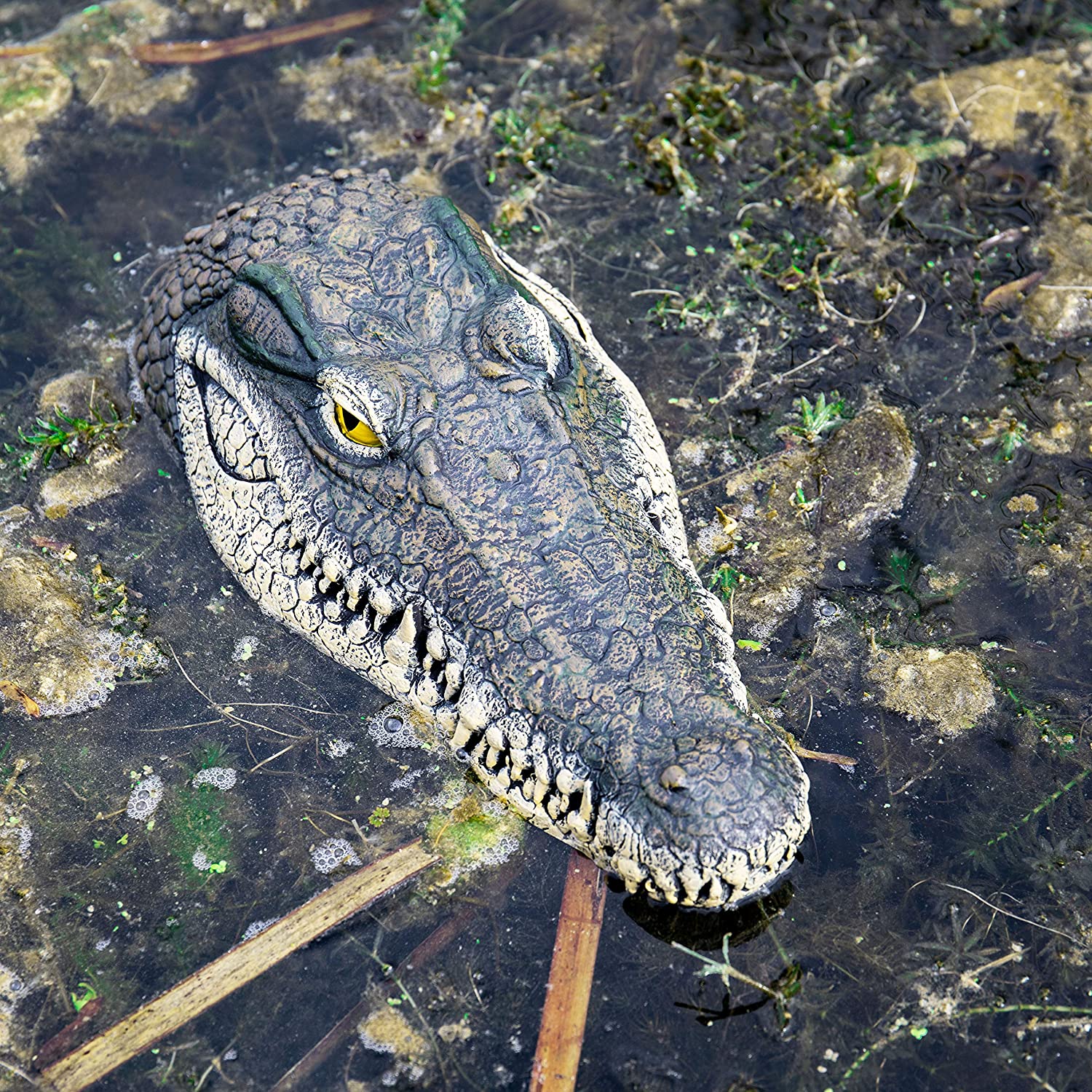 rc crocodile head