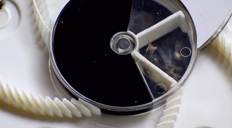 This Revolving Electronic Fly Trap Is An Easy Automated Way To Get