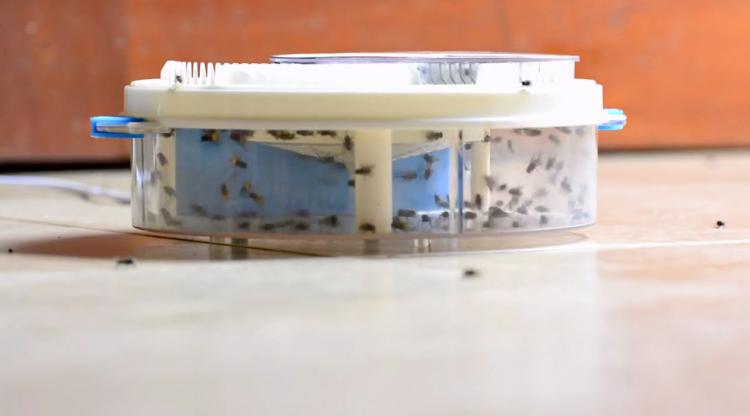 This Revolving Electronic Fly Trap Is An Easy Automated Way To Get