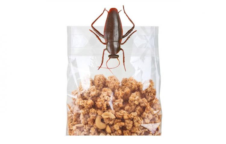 Roach Clips - Bug shaped bag clips deters office lunch thieves - Roach bag clip prank