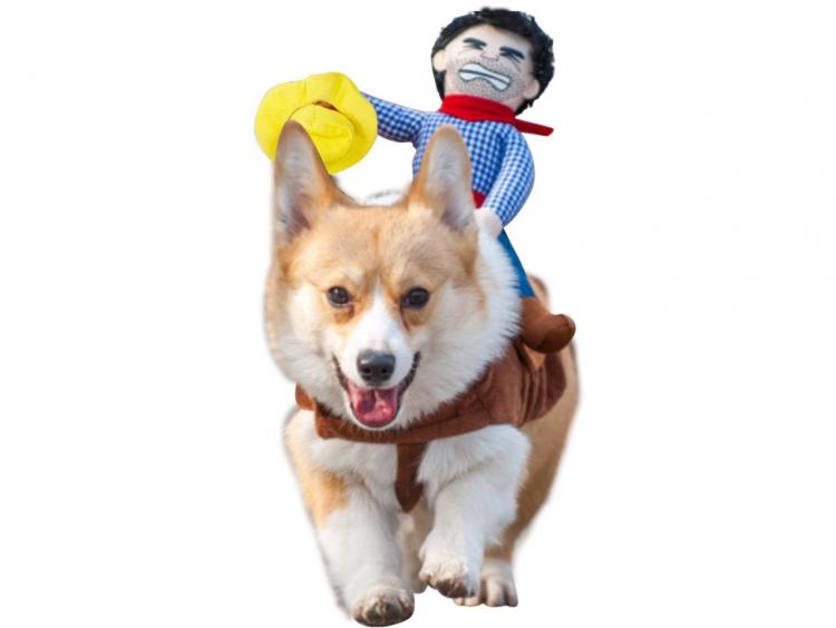 This Rodeo Cowboy Dog Costume Turns Your Dog Into a Bucking Bronco