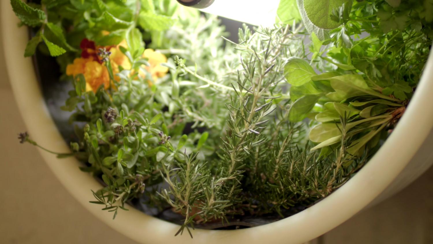 Rotating NASA-Inspired Indoor Garden Provides Full Garden In Just 1.7 Feet - Rotofarm modern futuristic cylinder garden