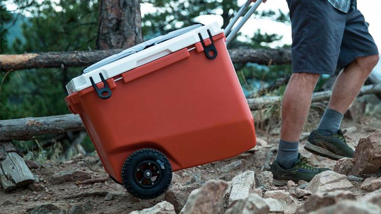 bicycle cooler