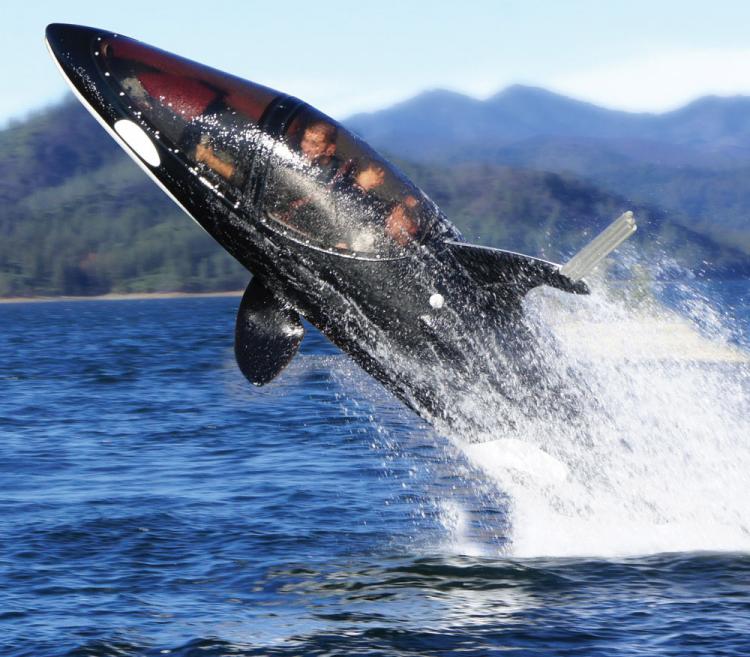 SeaBreacher Dolphin Inspired Jet Powered Watercraft Submarine Hybrid
