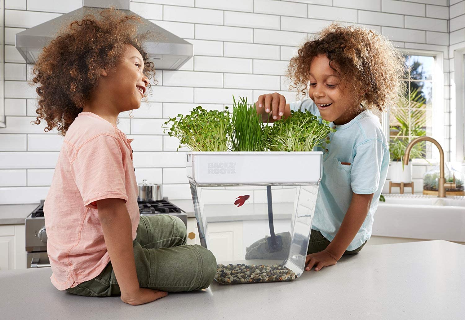 Self cleaning fish tank that store grows food