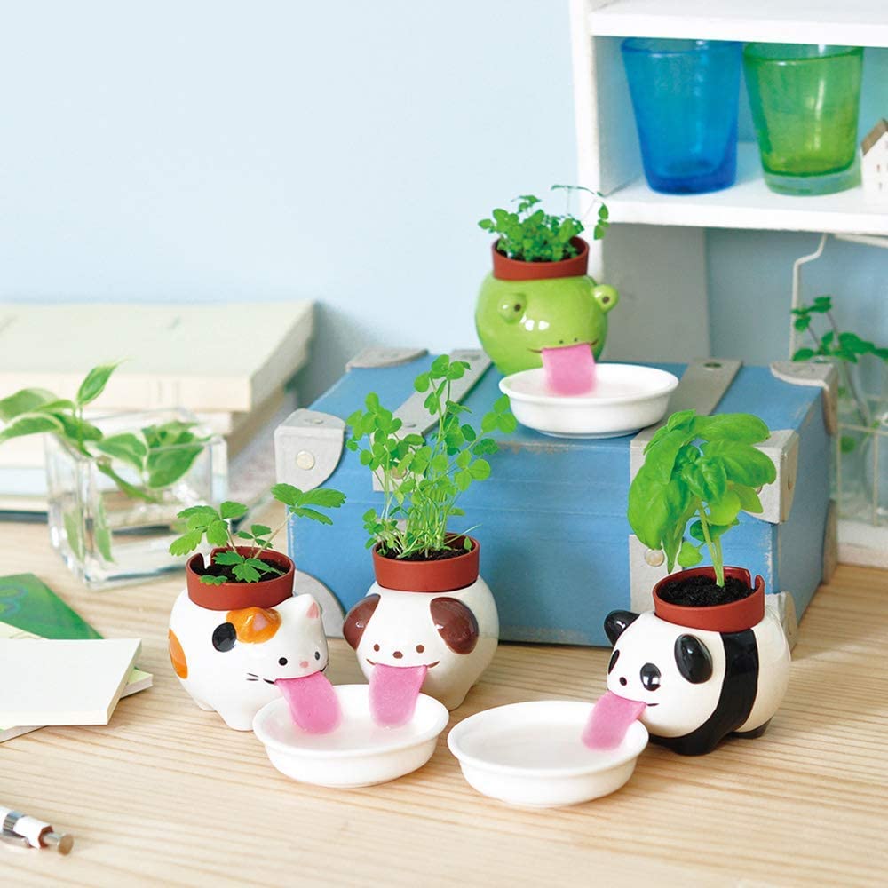 https://odditymall.com/includes/content/upload/self-drinking-animal-planters-1472.jpg