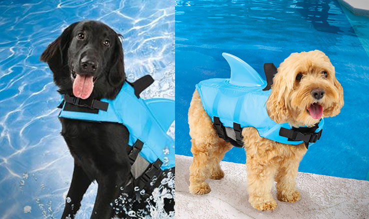 Shark Fin Dog Life Jacket - Dorsal fin dog life jacket