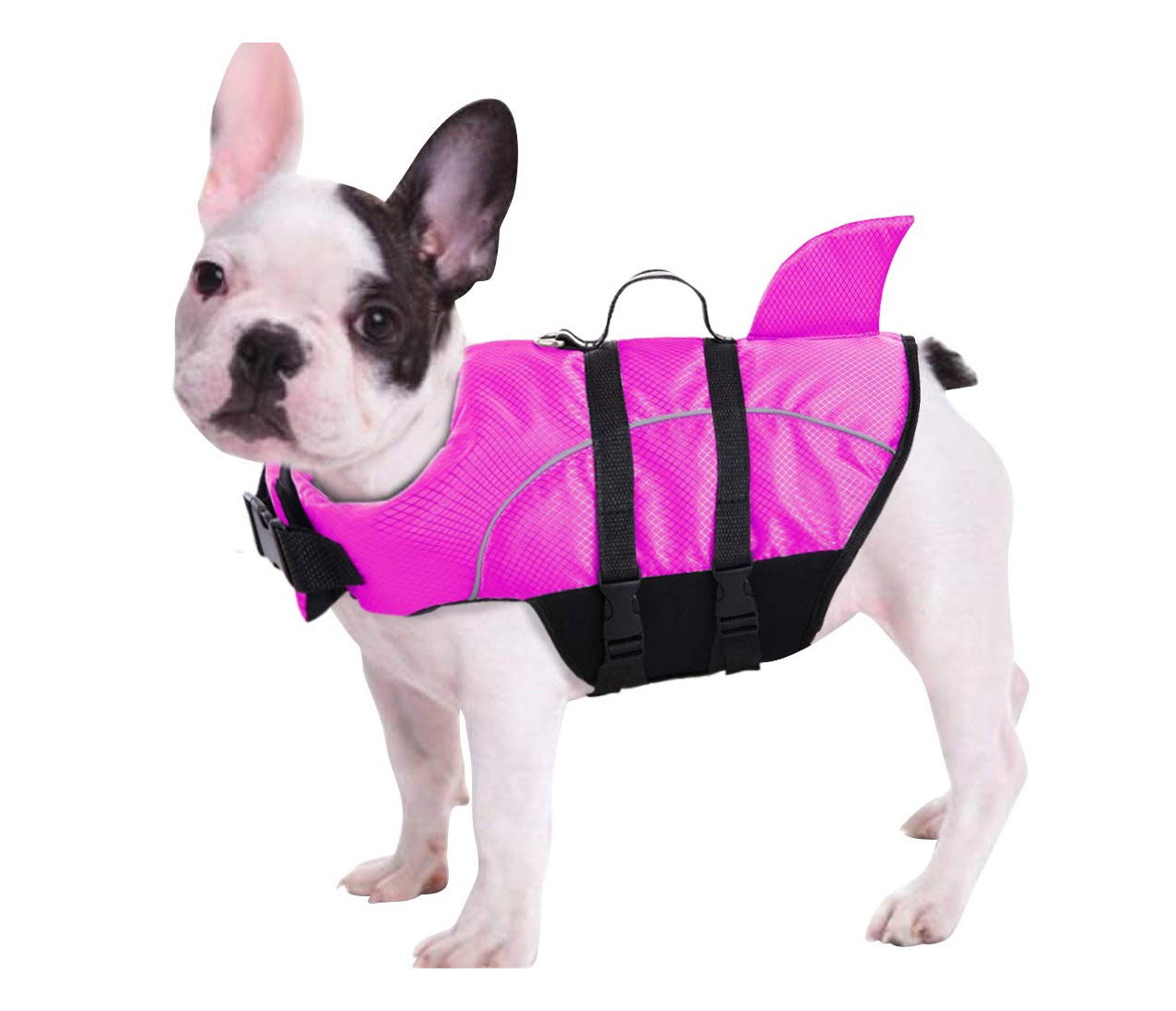 dog life jacket shark fin