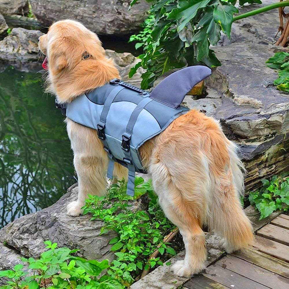 Your Dog Will Surely Look Viscous While Wearing a Shark Fin Dog Life