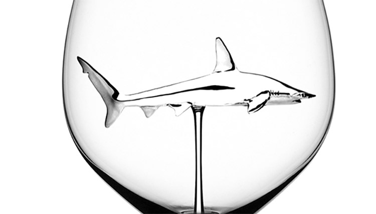 Wine Glasses with Shark Inside, 2 PCS Transparent Unique Wine Glasses for  Shark Lover Wedding Gifts