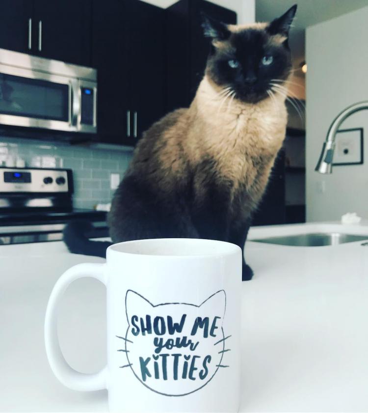 Show Me Your Kitties Coffee Mug