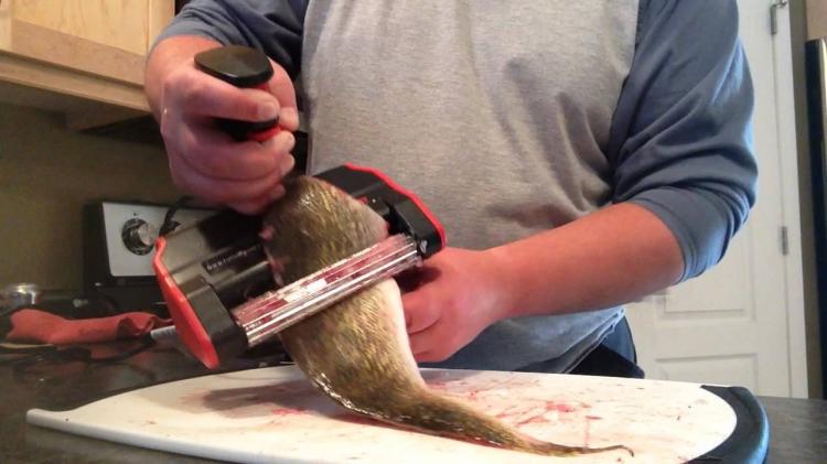 We Tried It: Electric Fish Skinner That Claims To Clean Fish In