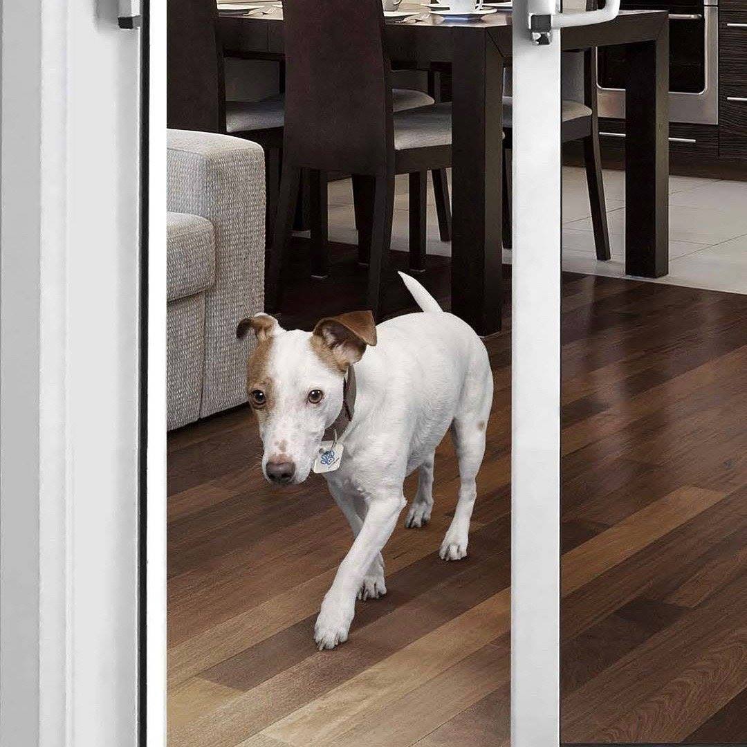 electronic sliding glass dog door