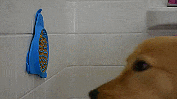 Slow Treater: Wall Mounted Treat Lick To Distract Dogs While Bathing - Peanut butter dog bath distraction tool