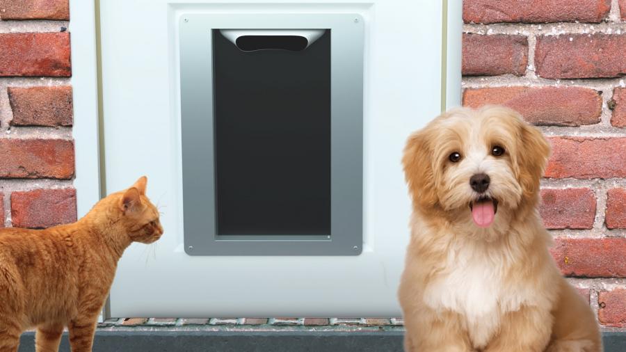 Microchip best sale dog door