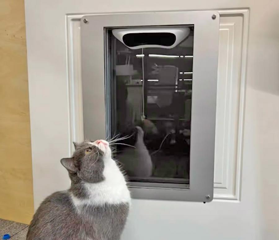 Face recognition 2025 cat flap