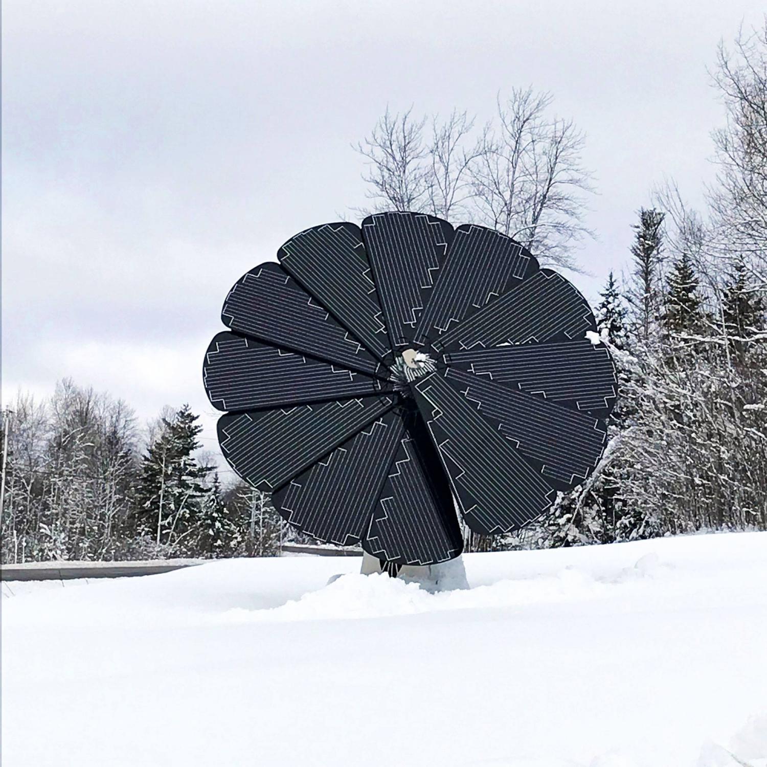 This Solar Panel Flower Tracks The Sun Throughout The Day