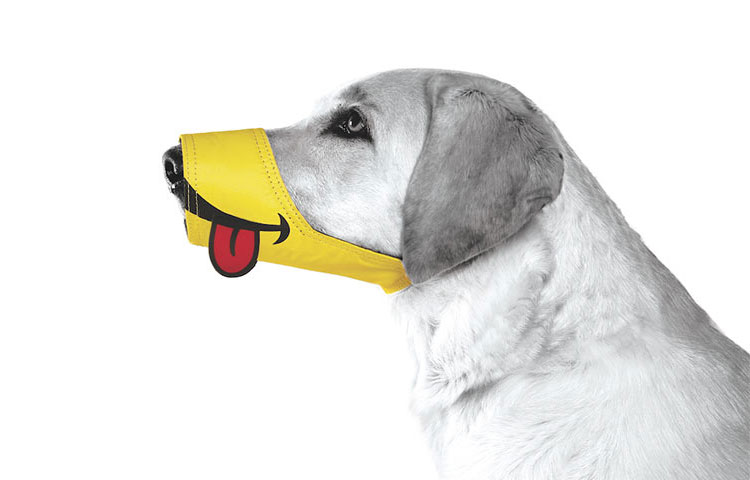 Smiling best sale dog muzzle