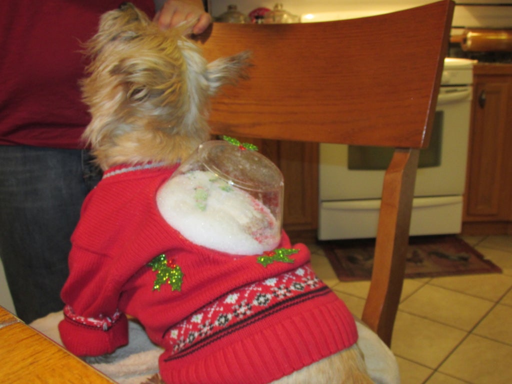 Snow Globe Ugly Christmas Sweater For Dogs - Dog ugly sweater