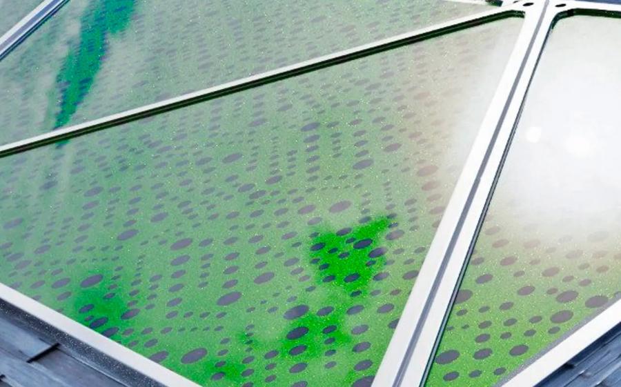 Solar Algae Biopanel Windows