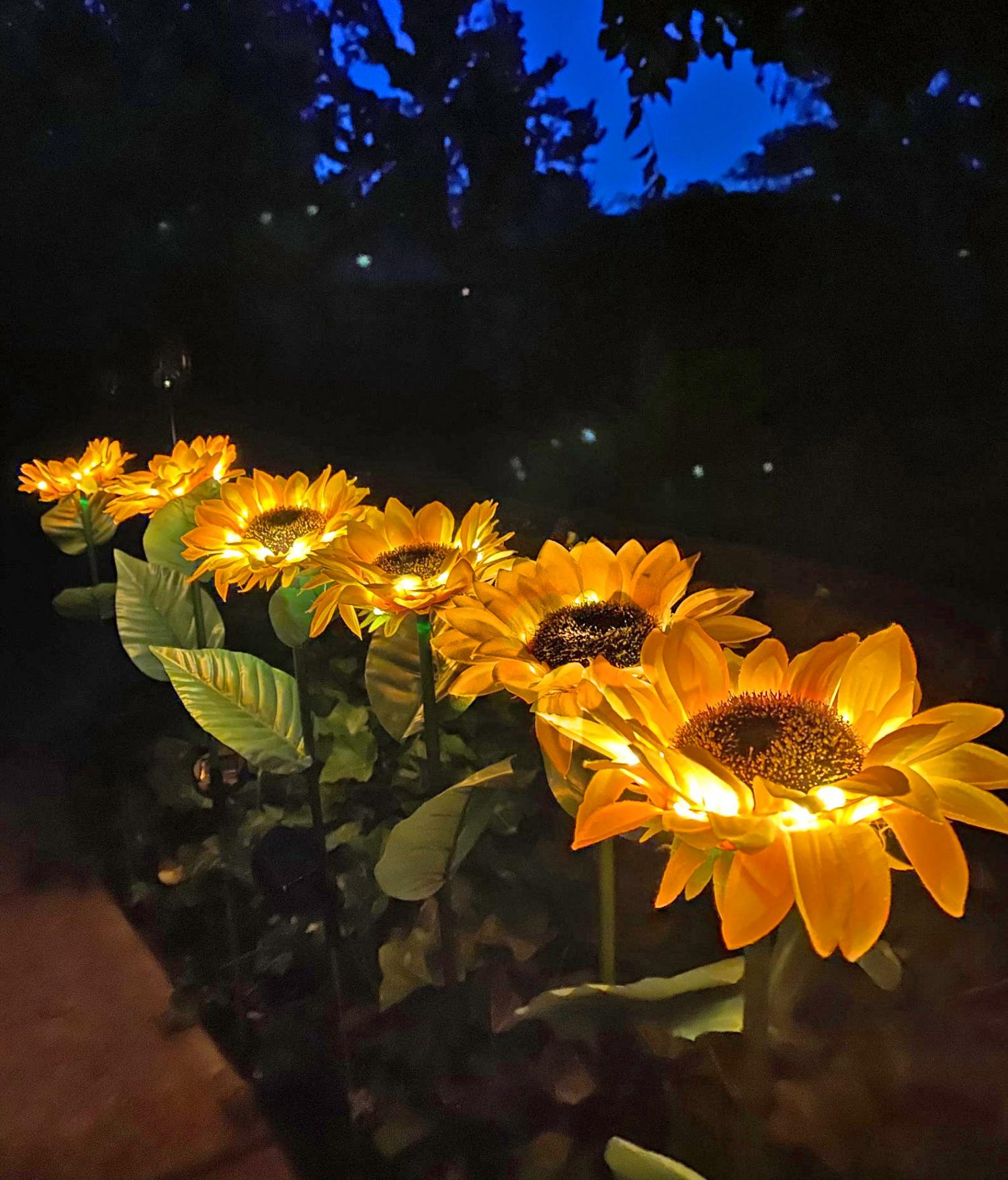 Sunflower Night Light. No Blue Light, Motion Activated Perfect for