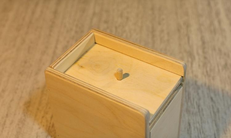 Spider Scare Box - Jumping Spider Prank Wooden Box