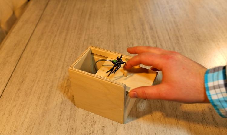 spider box prank