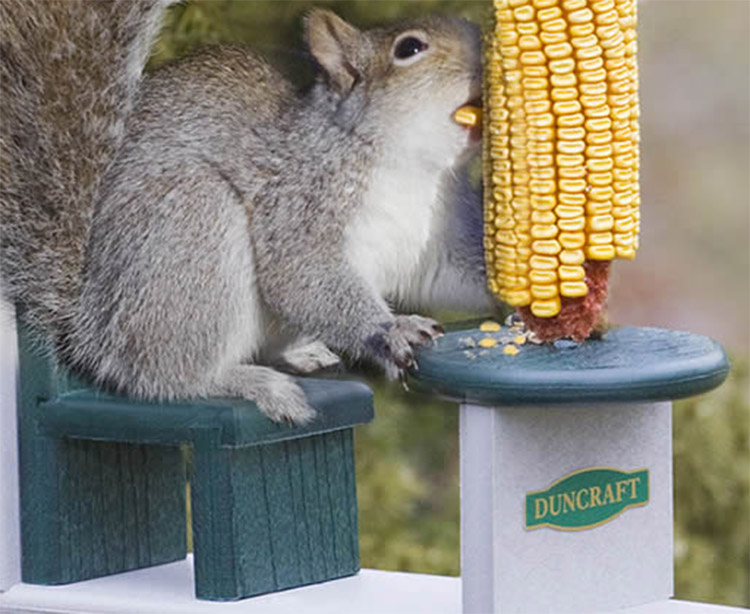 Squirrel Table and Chair - Yard Squirrel Dining Set - Corn Cob Squirrel Table